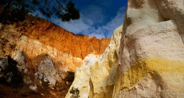 Eroded sandstone cliff, The Pinnacles, Ben Boyd National Park, New South Wales, Australia