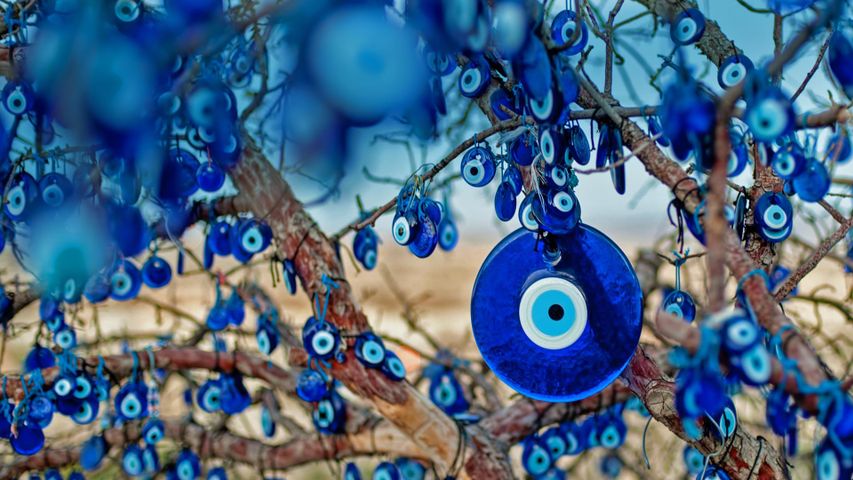 Tree decorated with amulets called nazars, Göreme National Park, Cappadocia, Turkey 