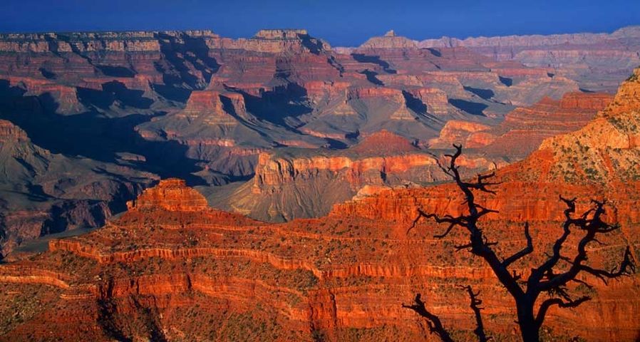 Parc national du Grand Canyon, Arizona, États-Unis