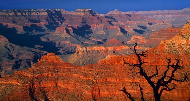 Grand Canyon National Park, Arizona, USA