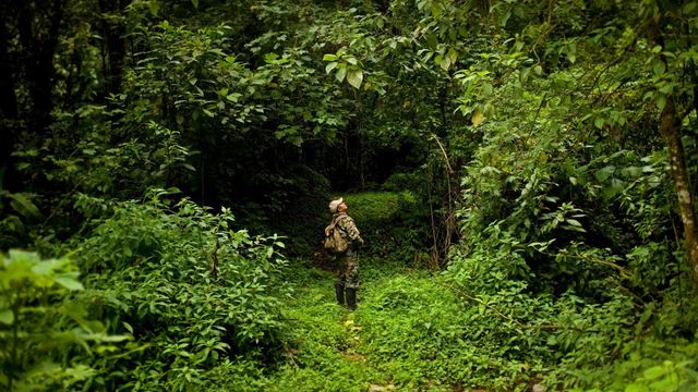 「ジャングルの中のパークレンジャー」メキシコ, エル・トリウンフォ生物圏保護区