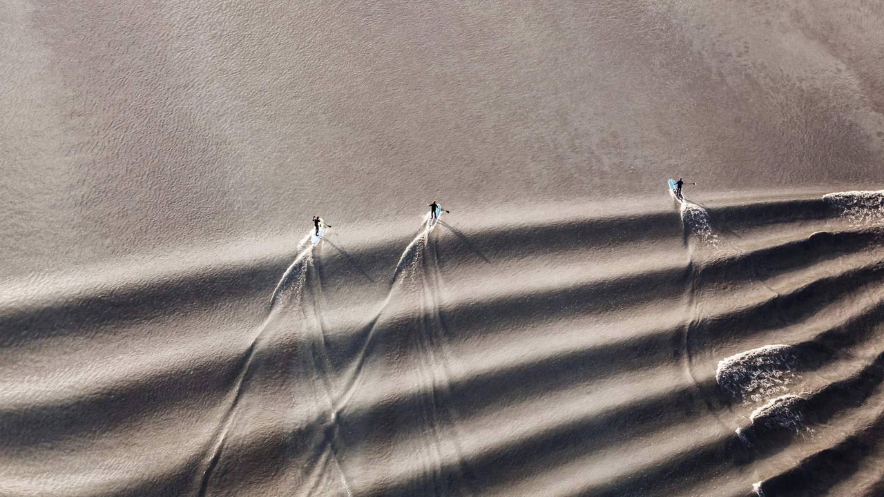 Stand-up paddleboarders riding the bore tide in Turnagain Arm, Cook Inlet, Alaska, USA