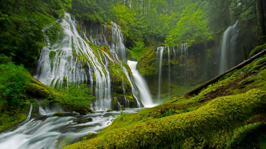 Panther Creek Falls dans la Forêt nationale Gifford Pinchot, état de Washington, États-Unis