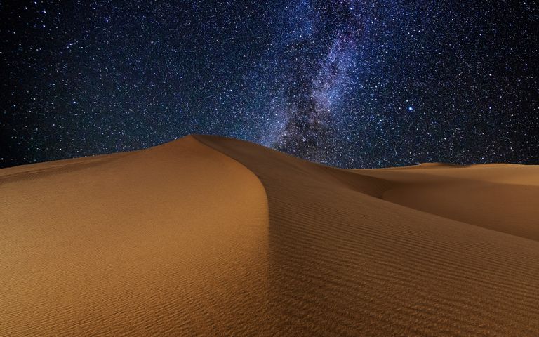 In the Desert Windows 10 Theme | Free Wallpaper Themes