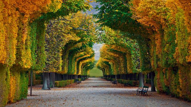Jardins du château de Schönbrunn à Vienne, Autriche