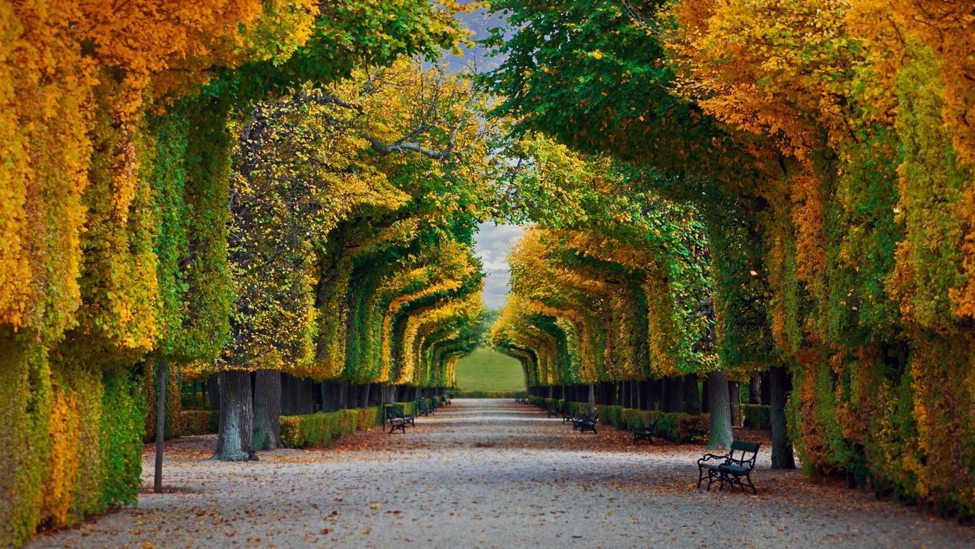 Schönbrunn Palace gardens in Vienna, Austria | Peapix