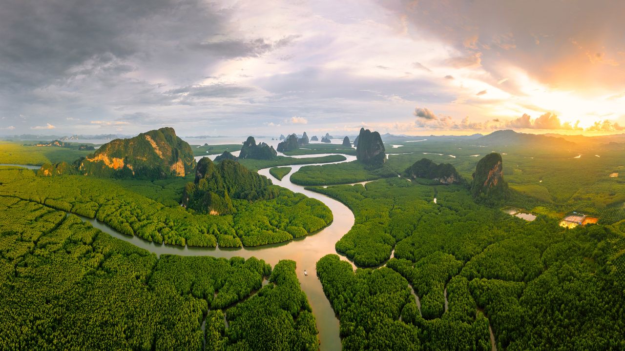 Mangrove forest in Phang Nga Bay, Andaman Sea, Thailand