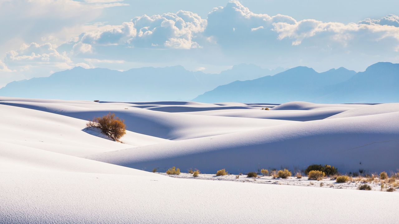 Sea of snow?