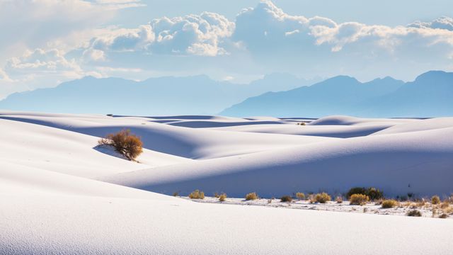 Sea of snow?