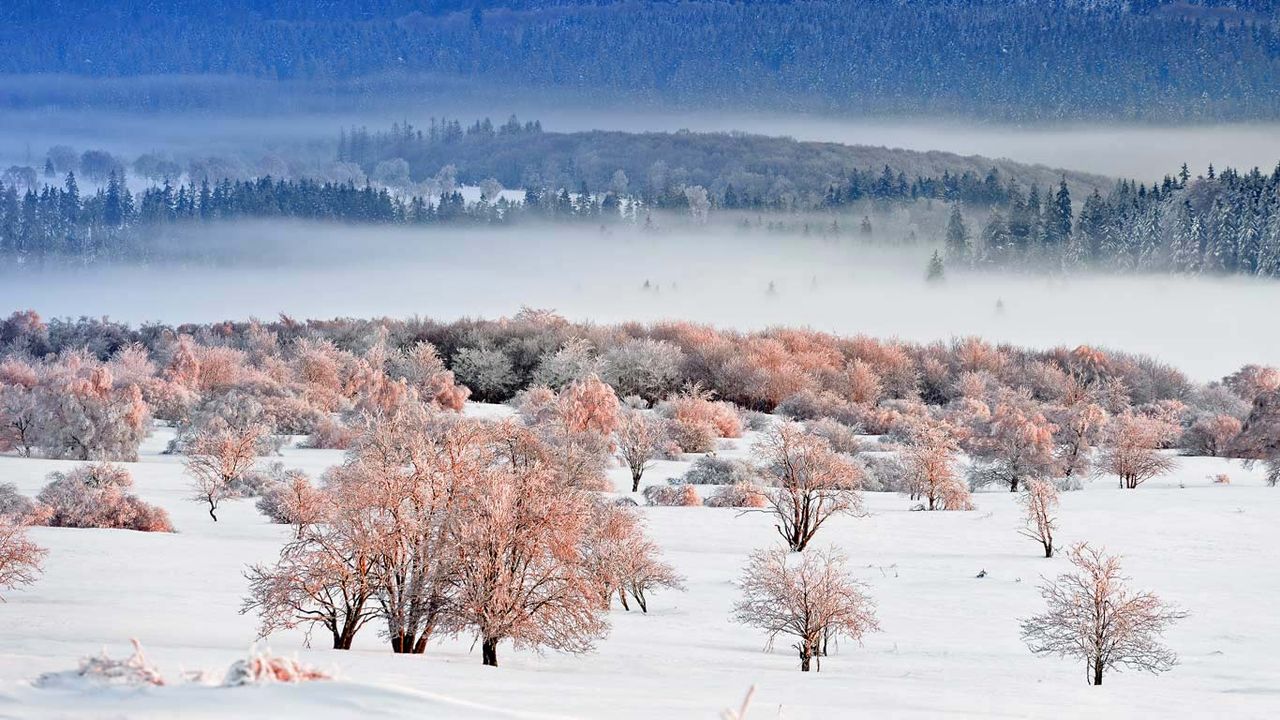 Eifel National Park, North Rhine-Westphalia, Germany 