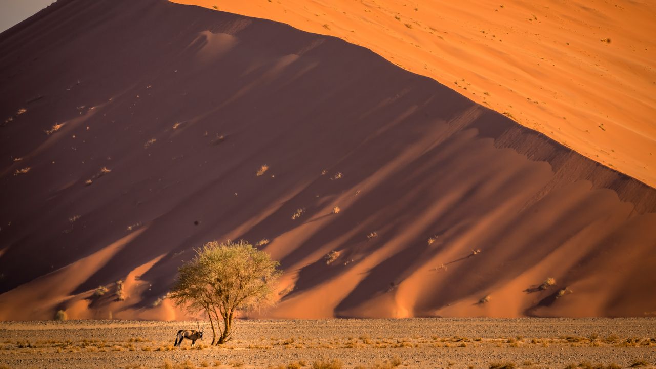 Dune di sabbia di Sossusvlei, deserto del Namib, Namibia