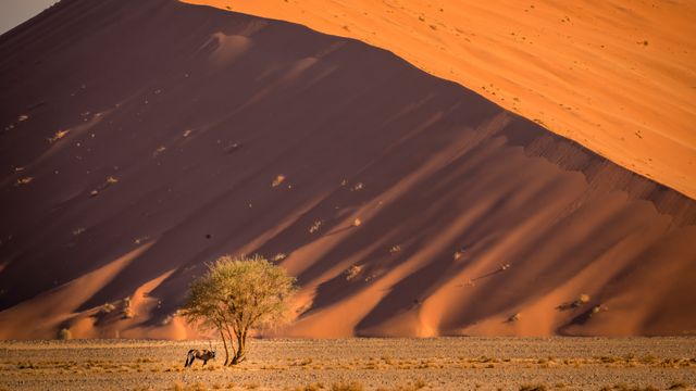 Sossusvlei sand dunes, Namib desert, Namibia