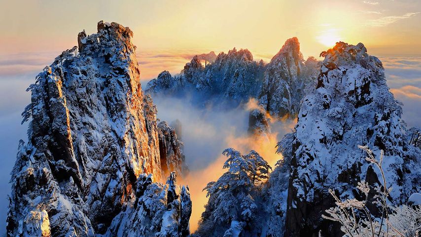 【今日大雪】黄山风景区，安徽省 