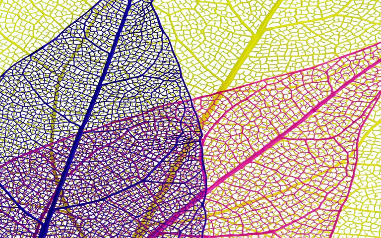 Leafy Structures Windows 10 Theme