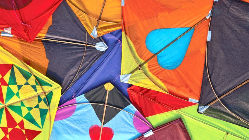 Colourful kites in Ahmedabad, Gujarat, India