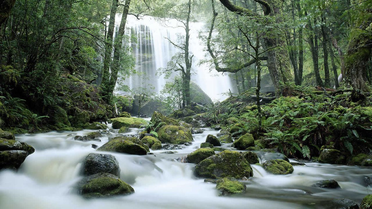 Jerusalem River Waterfalls, Tasmanie, Australie