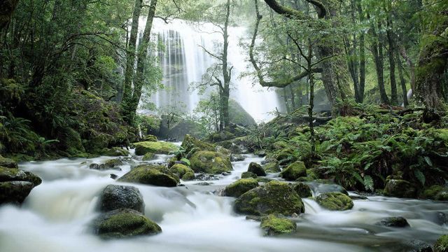Jerusalem River Waterfalls, Tasmania, Australia