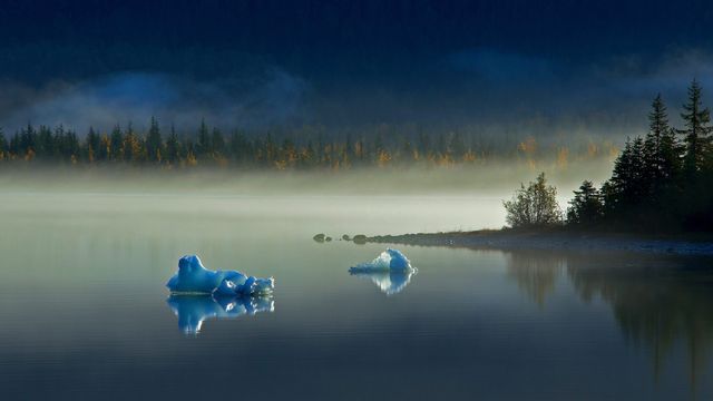 Icebergs on Mendenhall Lake near Juneau, Alaska