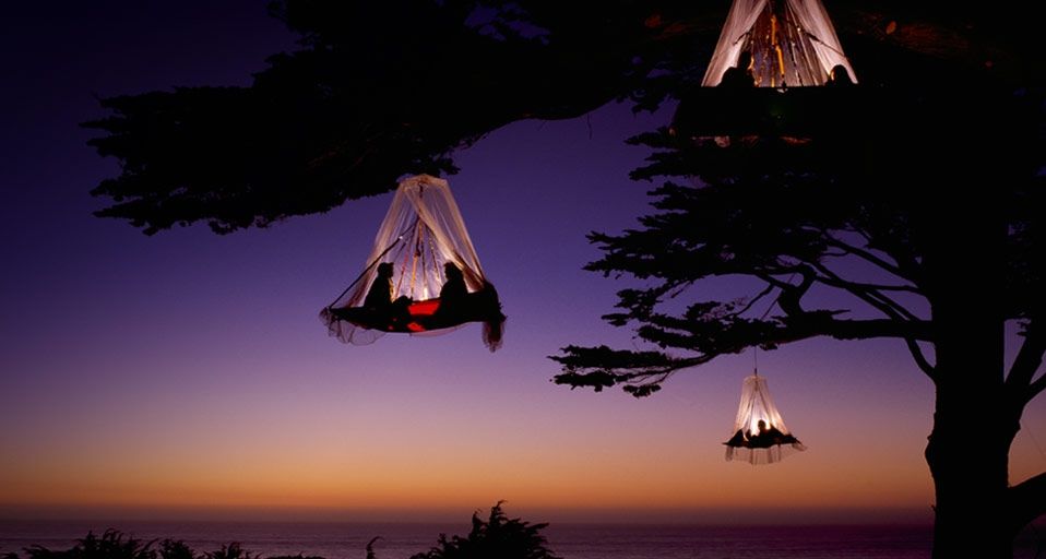 Climbers in three portaledges with mosquito netting camp in trees on the California Coast near Elk, California