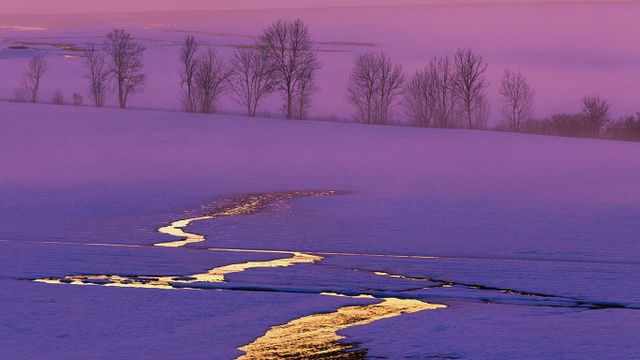 Coucher de soleil sur un champ enneigé en Suisse