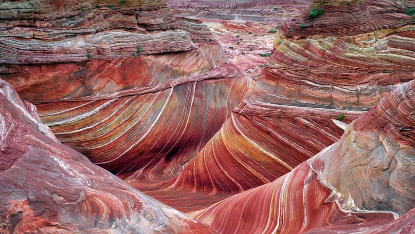 Versteinerte Sanddüne „The Wave“ in den Coyote Buttes North, Vermilion Cliffs National Monument, Arizona, USA