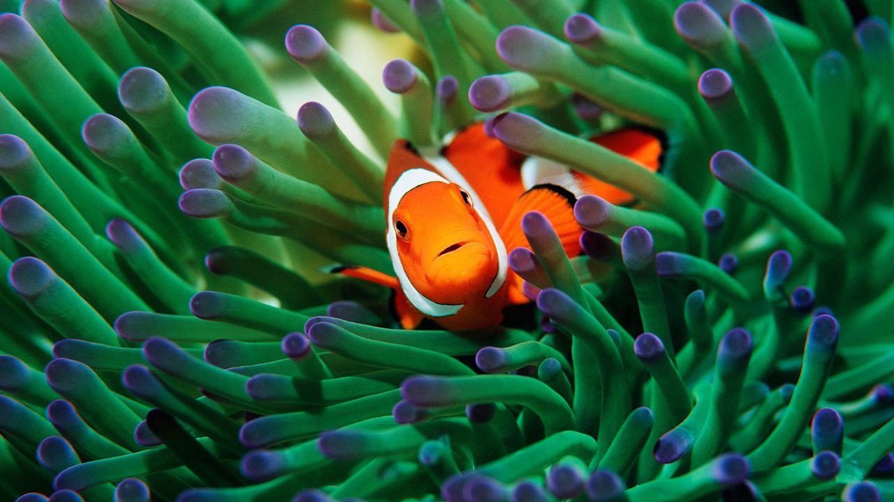 Found you!