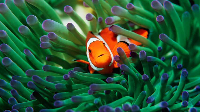Found you!