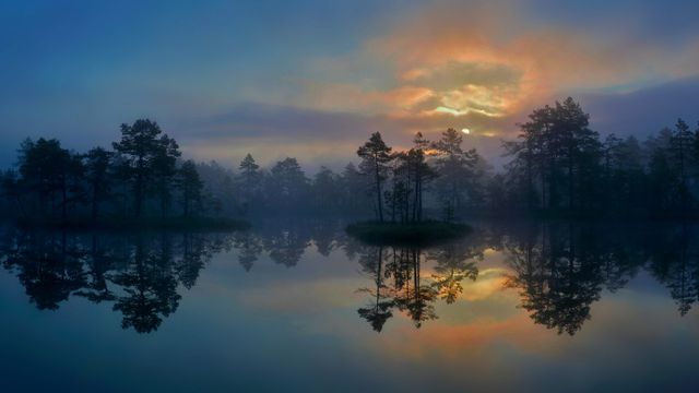 Feuchtgebiet in Västmanland, Schweden