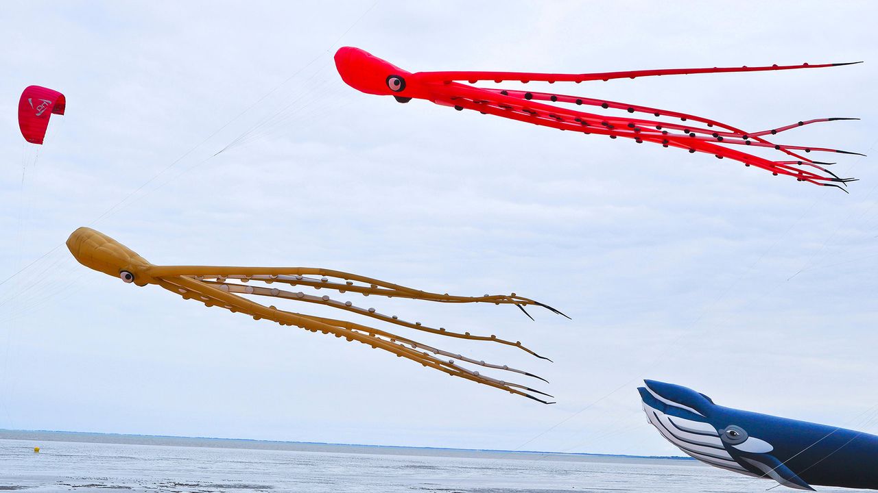 Des cerfs volants poulpes au Festival International du cerf-volant et du vent, Chatelaillon-Plage, France