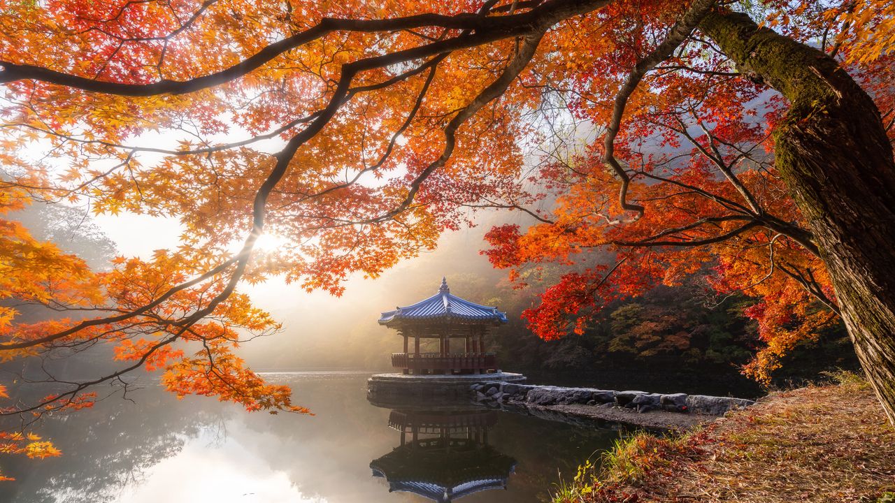 Autumn in Naejangsan National Park, South Korea