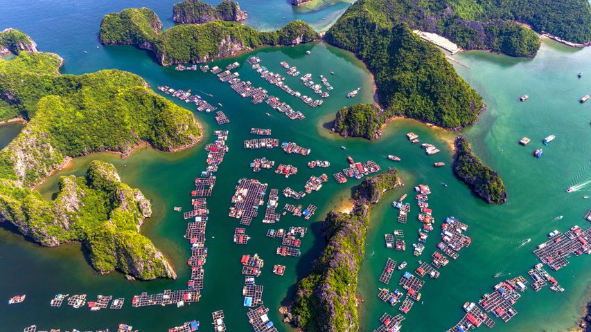 Fish fear this village