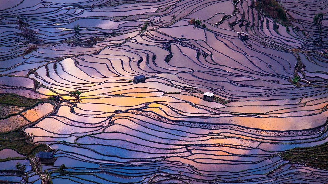 Aerial view of terraced rice fields, Yuanyang County, China