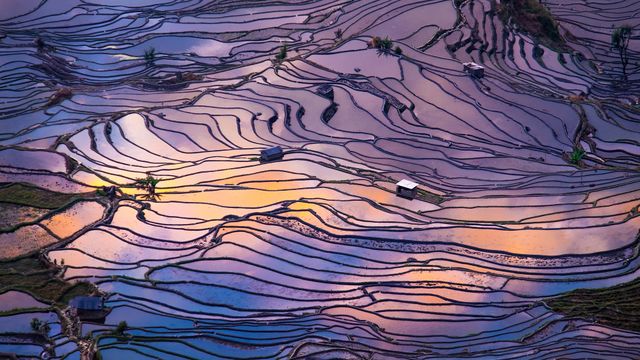 Aerial view of terraced rice fields, Yuanyang County, China