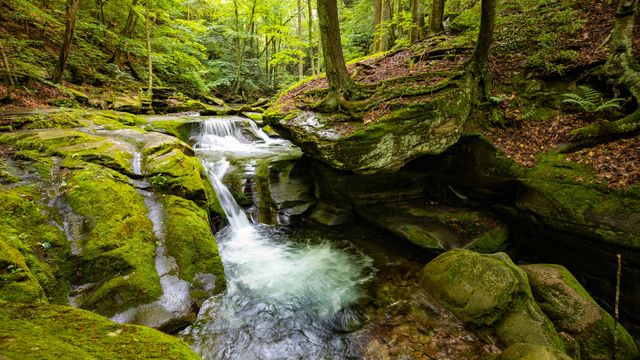 Bear Hole Brook, Catskill Mountains, New York, USA