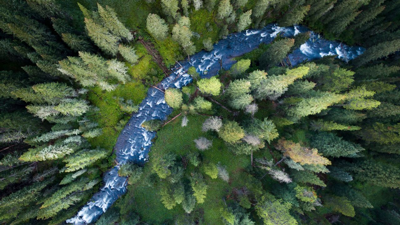 Hyalite Creek, Custer Gallatin National Forest, Montana, USA
