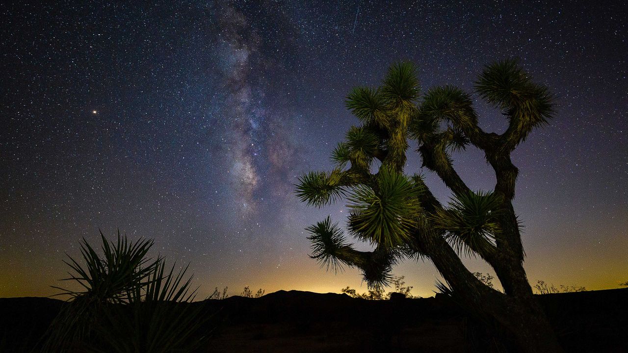 A Southwest silhouette