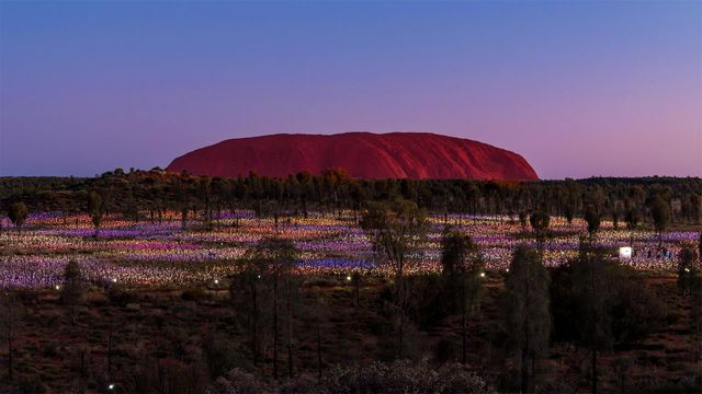 'Field of Light' par Bruce Munro à Uluru, Australie