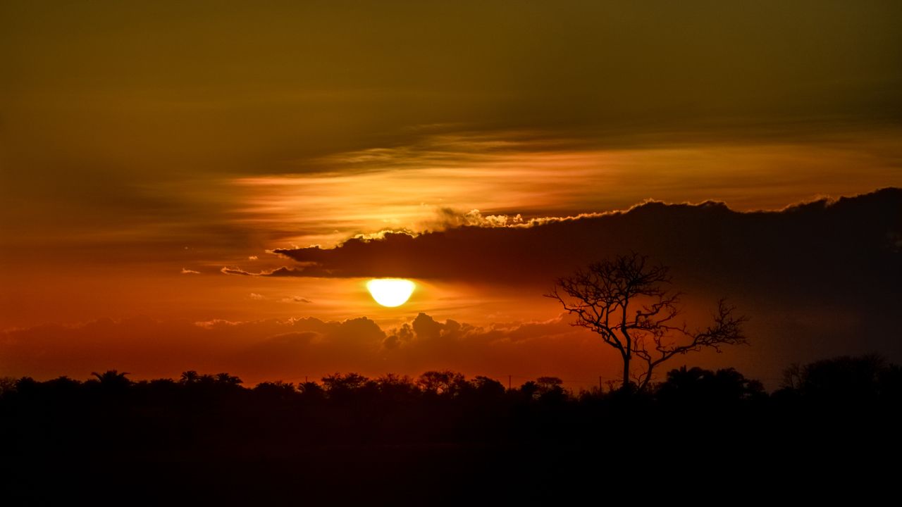 Savana em Piritiba, Bahia