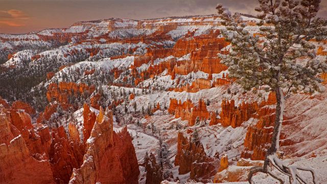 Winter in Bryce Canyon National Park, Utah