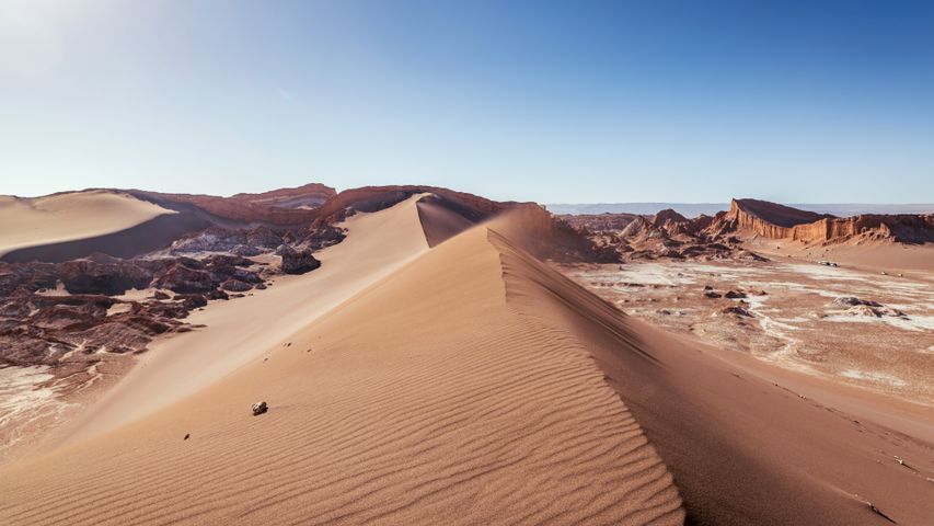 Dry, dry desert