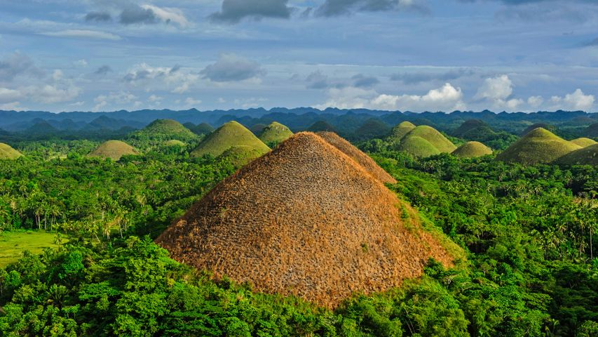 Chocolate Hills sur l’île de Bohol aux Philippines