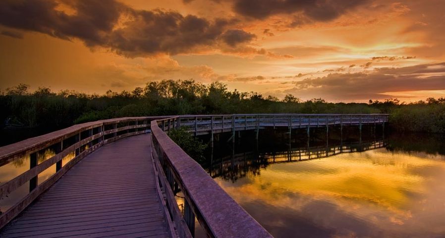 Walkway at sunset on the Anhinga Trail in the Everglades National Park, Florida