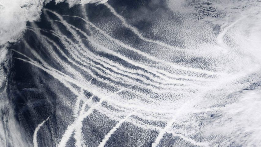 Ship tracks over the Pacific Ocean made visible by the clouds that form around the particles in ship exhaust 