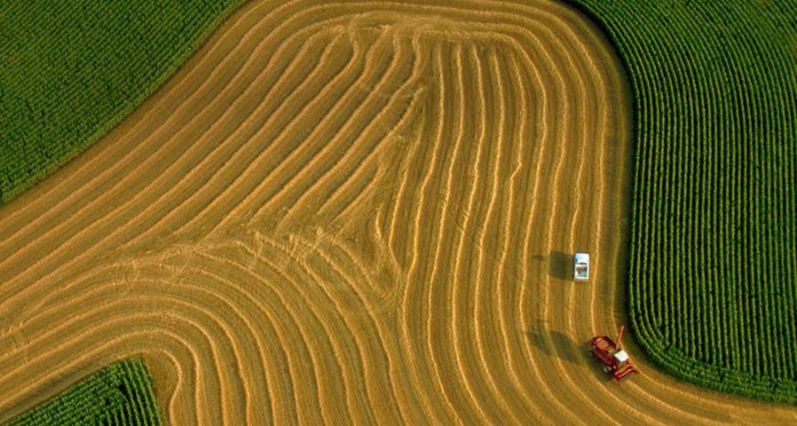 ｢オーツ麦を収穫するコンバイン｣アメリカ, ウィスコンシン州