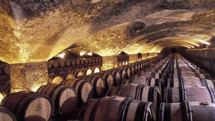 Fûts de vin, Château de Meursault, Bourgogne, France. 