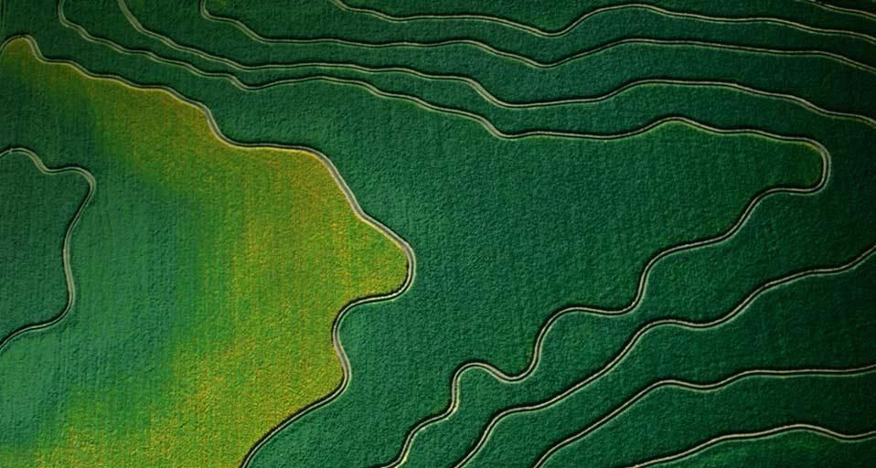 Aerial view of cultivated fields in Arizona, U.S.A.
