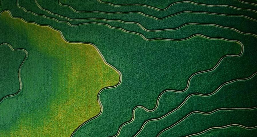 Aerial view of cultivated fields in Arizona, USA