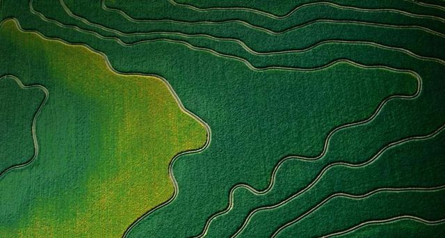 Aerial view of cultivated fields in Arizona, U.S.A.