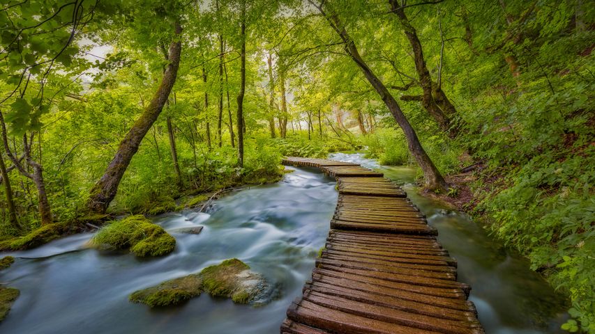Parco Nazionale dei Laghi di Plitvice, Croazia