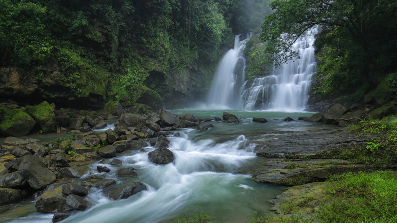 Falls in the forest
